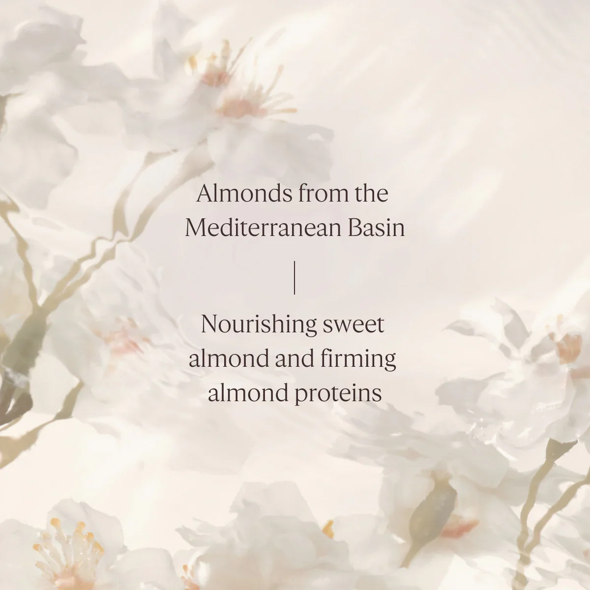 Almond Delicious Milk Concentrate - Image 7