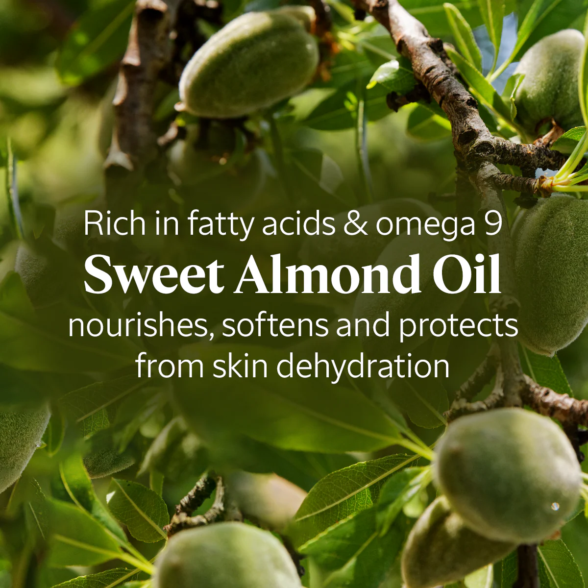 Almond Shower Oil (Luxury Size) - Image 11