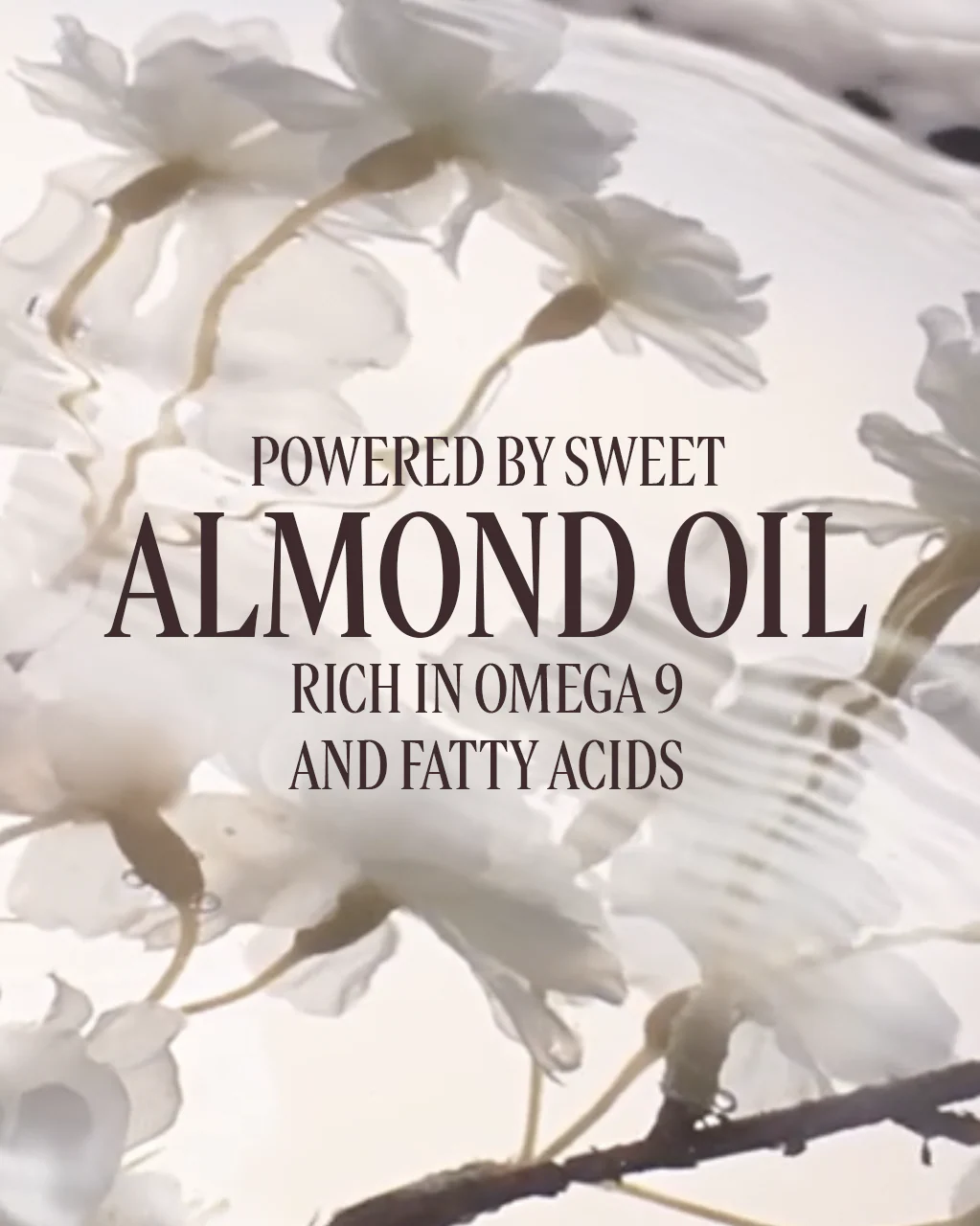 Almond Delicious Milk Concentrate - Image 9