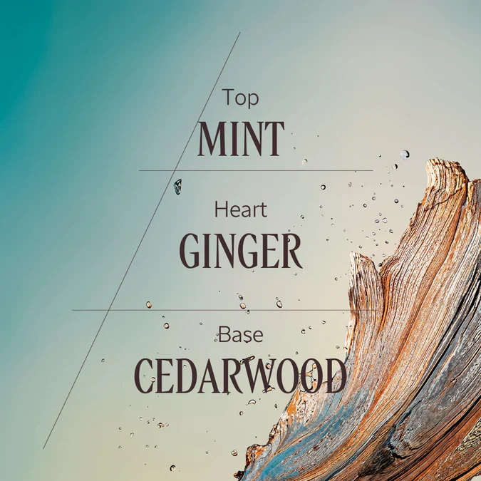 Cèdre Gingembre Eau de Toilette - Image 3