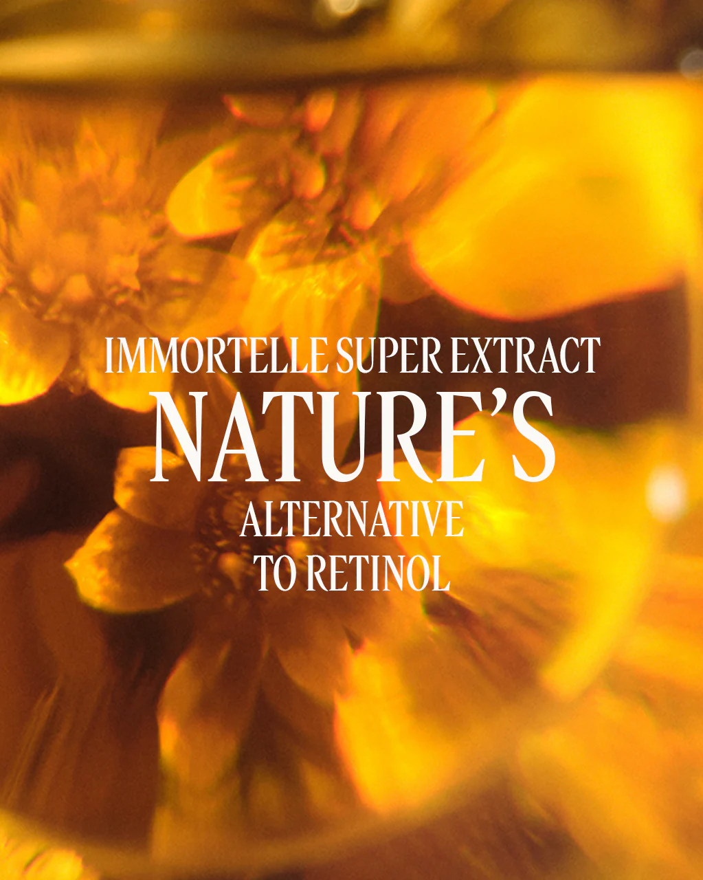 Immortelle Divine Cream (Mini) - Image 6