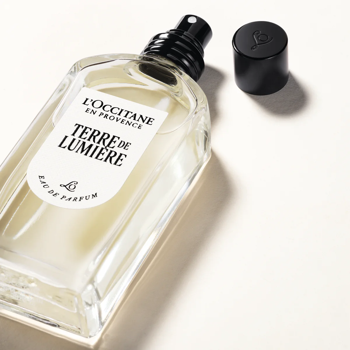 Terre de Lumière Eau de Parfum - Image 2